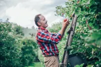 Gästehaus Kleindienst Hotels in Gemeinde Sankt Stefan ob Stainz