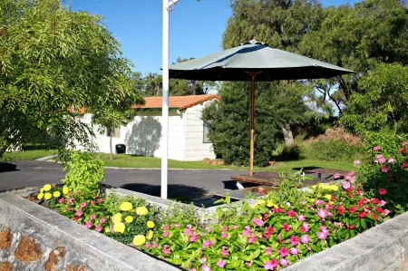 Havana Villas Отели в г. Олбани