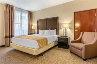 Comfort Inn & Suites Allen Park - Dearborn