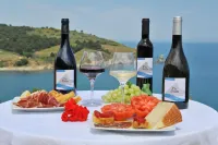 Logis Hotel Solhotel Hotels in Banyuls-sur-Mer