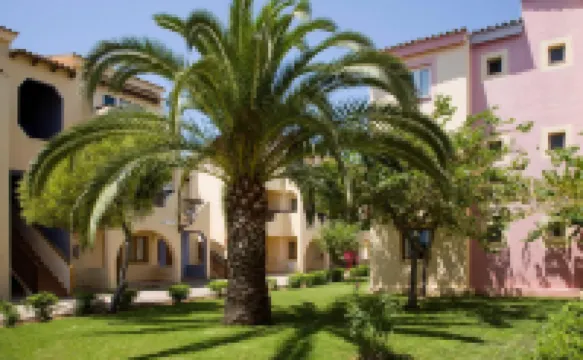 Globales Bouganvilla