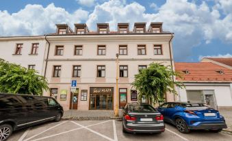Hotel MAXPLAZA