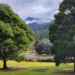 Russell Falls Holiday Cottages