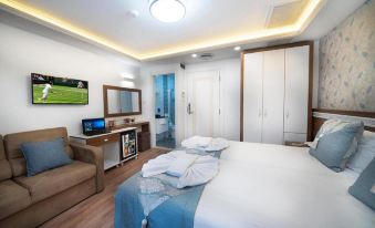 Lika Hotel - Standard Double or Twin Room in Istanbul