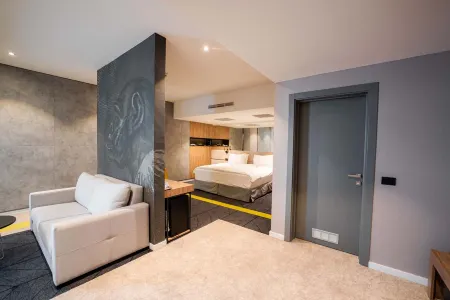 Mandachi Hotel & Spa Отели в г. Сучава