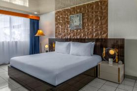 Hotel del Sur
