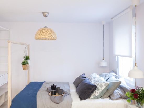 Charming Madrid Lofts