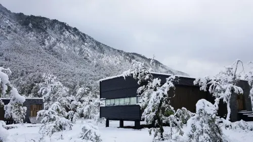 Endemiko Hotels in Curacautin