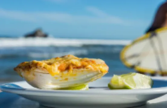 Juquei Frente ao Mar Hotel Pousada