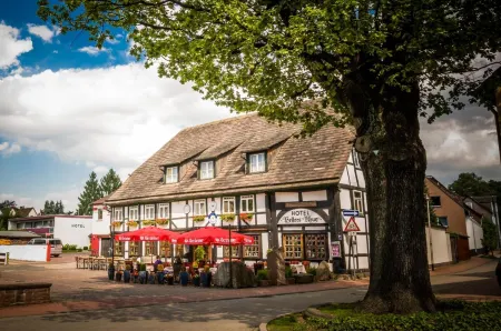 Hotel Hellers Krug Отели в г. Дильмиссен