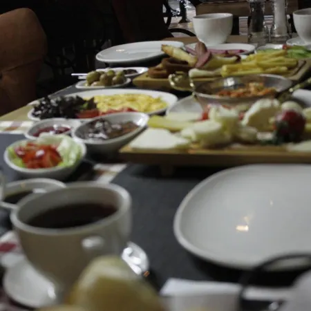 The Wolf Hotel