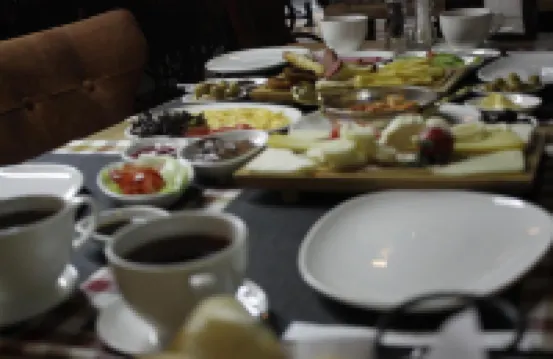 The Wolf Hotel