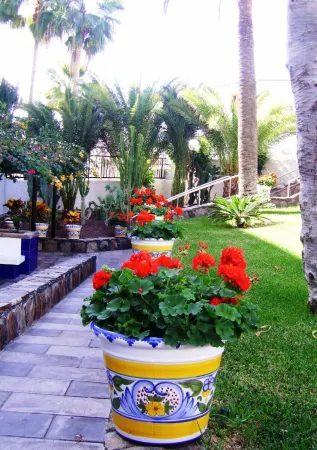 Apartamentos Tamaragua Отели рядом с достопримечательностью «Дюны Маспаломаса»