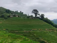 Best View Homestay - 2-Star