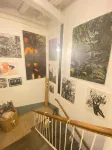 Rumi Rooms