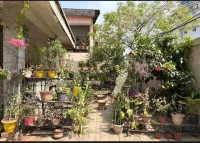 Zion Backpackers Hostel Hotels in 