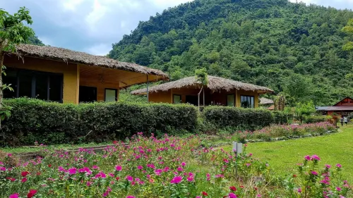 Nasan Green Farm - bar