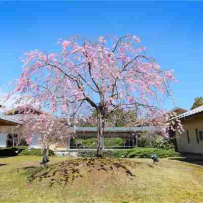 秋保温泉 茶寮宗園 Akiu Onsen Saryo Souen Hotel Exterior
