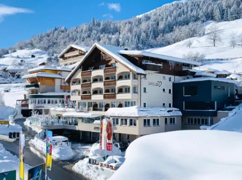 阿爾卑斯山之心浪漫及水療中心