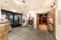 Senja Hotell Hotels in Finnsnes