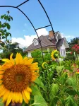 Tehel Farmhouse Hotels in Bemban
