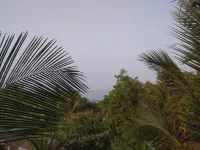 God's Gift Morjim