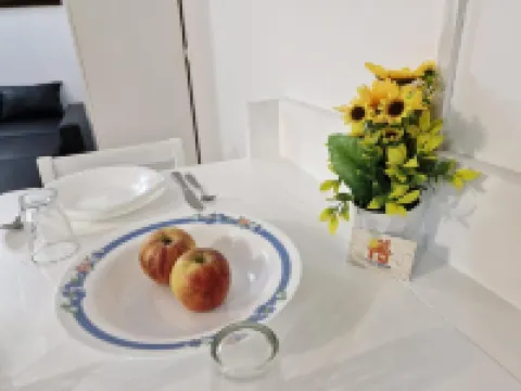 Holiferias NoStress Sal Island Hotels in 