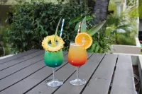 Hotel Exsel Floralys - bar