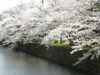 Hotel Benex Yonezawa