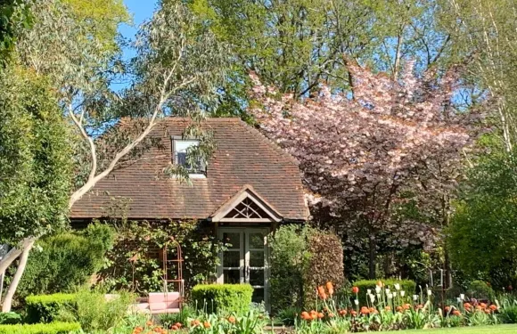 修鞋匠住宿加早餐旅館