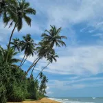 Dhammika Beach Palace