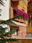 Villa Natural Wood