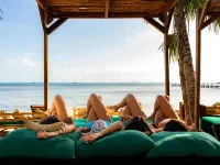 Mayan Monkey Isla Mujeres - Social Hotel Hotels in Isla Mujeres