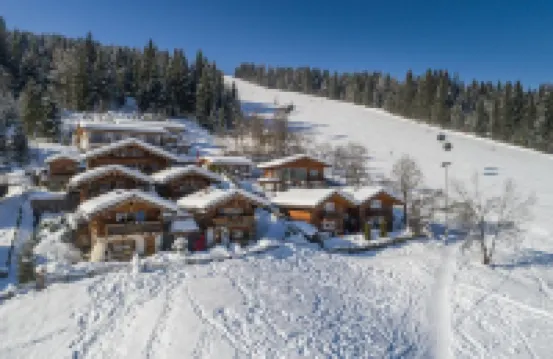 Almdorf Flachau - Luxus Hüttenurlaub