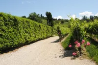 Agriturismo Giorgio Colutta فنادق في Cormons