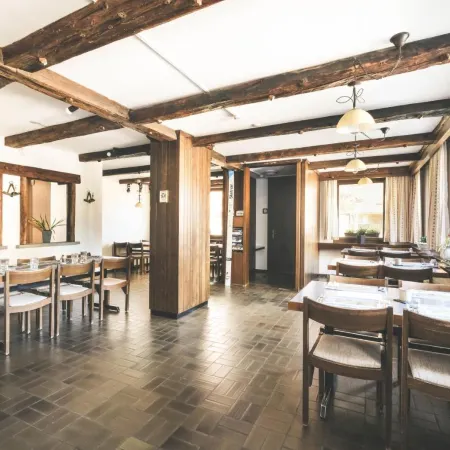 Hotel Alpina
