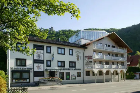 Forellenhof Rössle Hotel & Restaurant Отели в г. Энгстинген