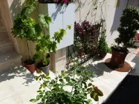 New House فنادق في إسطنبول