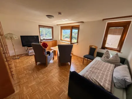 Steiert Panorama Apartments Todtnau Отели в г. Тодтнау