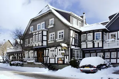 Landhotel Albers Hôtels à : Schmallenberg