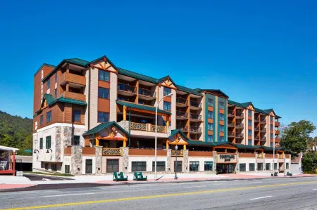 Courtyard Lake George