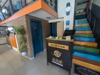 Alinar Oasis Budget Hotel - واي فاي