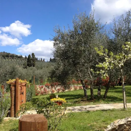 Agriturismo IL Viaio