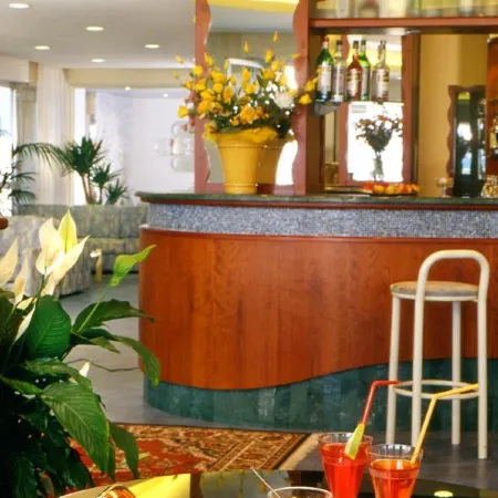 Hotel Foschi-Peninsula