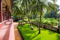 Lazy Frog Guest House