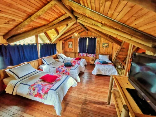 에코 호텔 라스 팔마스 데 코코라