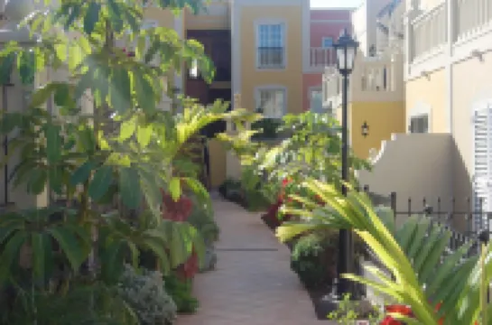 Elegant Palm Mar Apartment Hotels in Palm-Mar