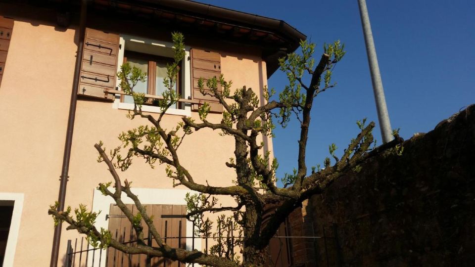 Alloggio Il Giuggiolo