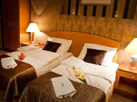 MCM普拉斯酒店 大波蘭地區戈茹夫酒店