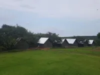 Mulberry Lane Hotels near Pilgrims Rest